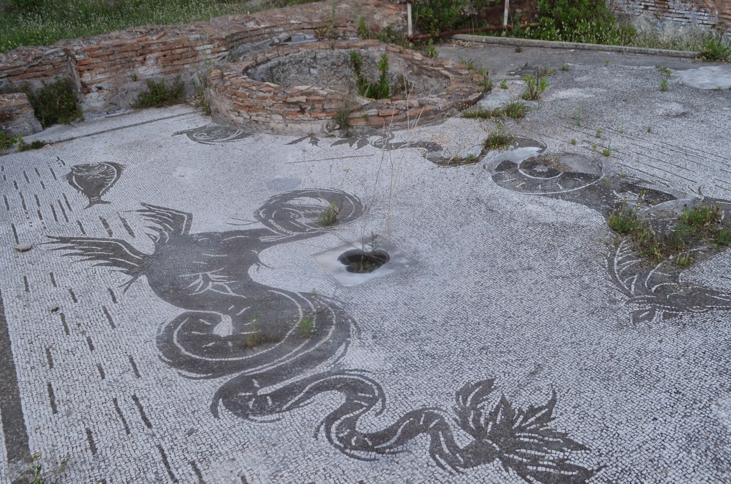 圣利马托-Cellole的海上别墅 - Baia Felice | Secret World Trip Planner