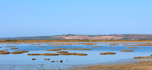 Stagno di Cabras - Stagno di Càbras | Secret World Trip Planner