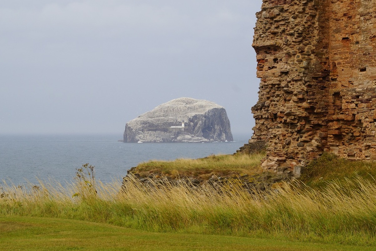 Escócia: o baixo Rock, ou simplesmente o baixo - Bass Rock | Secret World Trip Planner