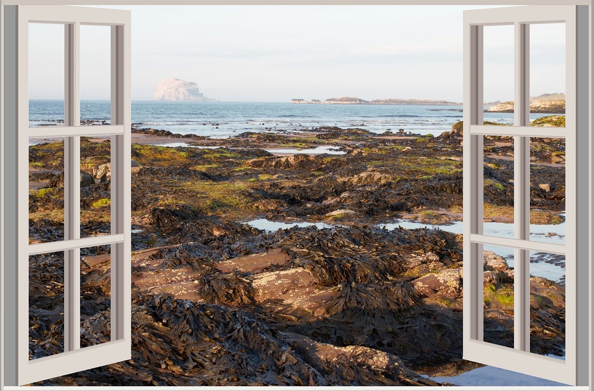 Escócia: o baixo Rock, ou simplesmente o baixo - Bass Rock | Secret World Trip Planner