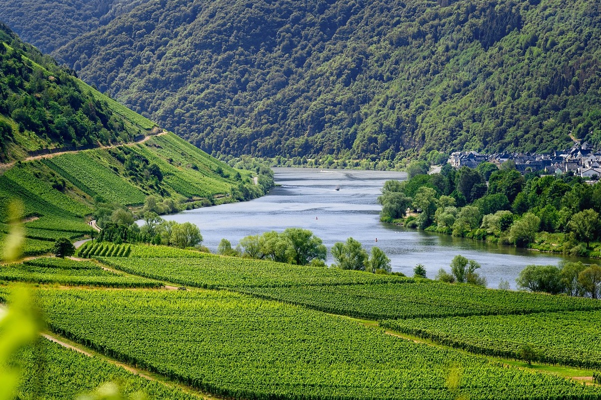 Château-Chalon e viñedos na Seille Val - Château-Chalon | Secret World Trip Planner