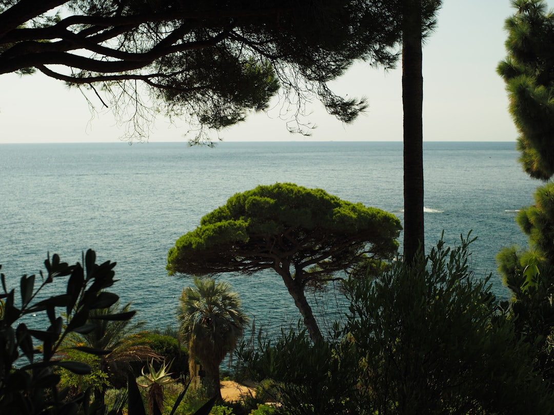 Conca dei Marini / um jardim marinho infinito - Conca dei Marini | Secret World Trip Planner