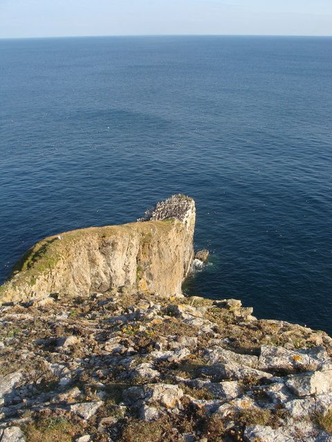 Pembroke | den grønne bro i Walales - Pembrokeshire Coast Path | Secret World Trip Planner