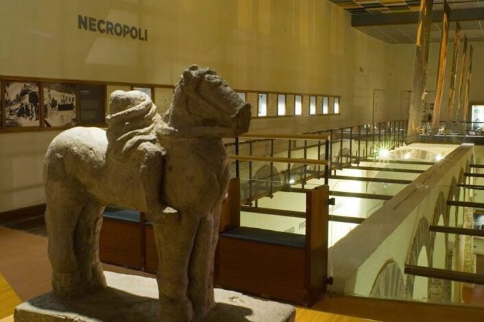 ಪ್ರಾಂತೀಯ ಪುರಾತತ್ವ ಮ್ಯೂಸಿಯಂ ಸಲೆರ್ನೊ - Salerno | Secret World Trip Planner