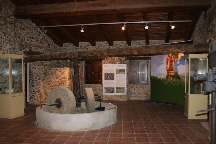Olívaolaj és paraszti Civilizáció Múzeuma - Zagarise | Secret World Trip Planner