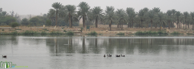 Parques y lagos de Al Hair: encuentro entre naturaleza y tradición saudí - Riyad | Secret World Trip Planner