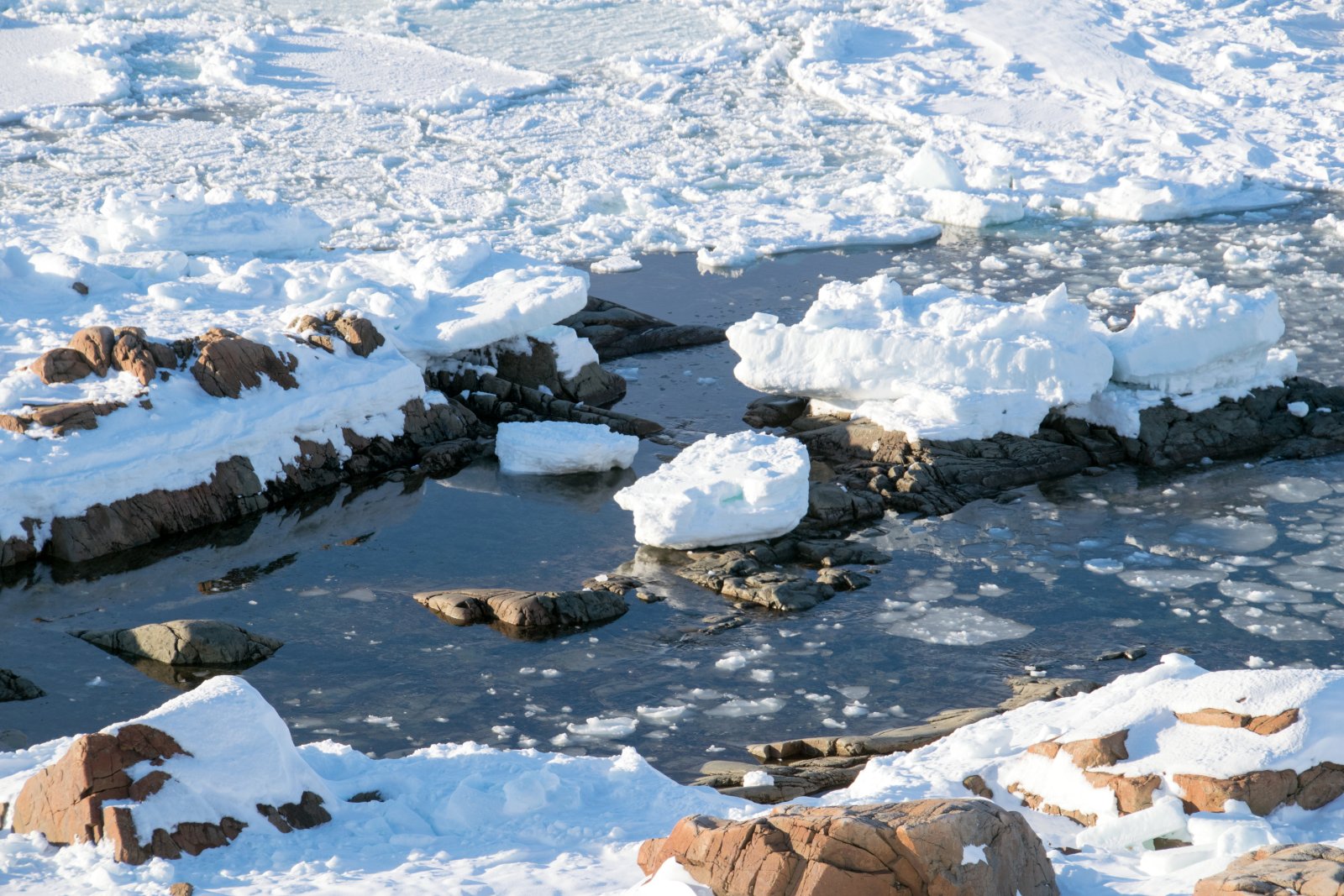 Fogo Island Inn: hotel na okraji Zeme - Joe Batt's Arm | Secret World Trip Planner