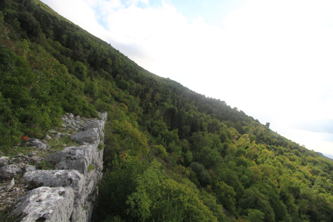 Nekropoli i Karaputës