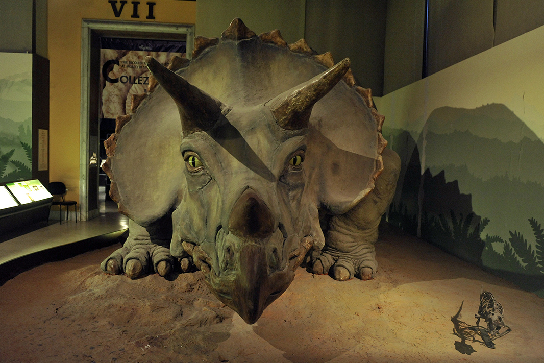 Milanski muzej prirodne istorije - Milano | Secret World Trip Planner