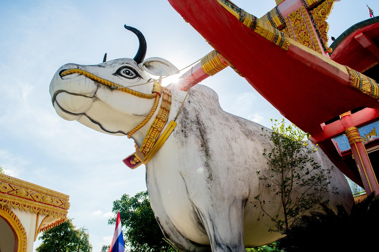 Museu De Titelles  - Campomorone | Secret World Trip Planner