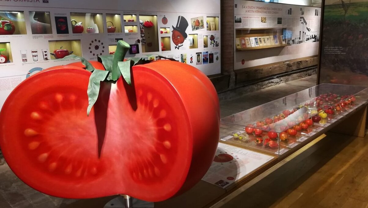 Tomat Museum - 11 | Secret World Trip Planner