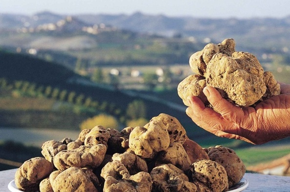 Toscane / truffelmuseum en Documentatiecentrum - San Giovanni d'Asso | Secret World Trip Planner