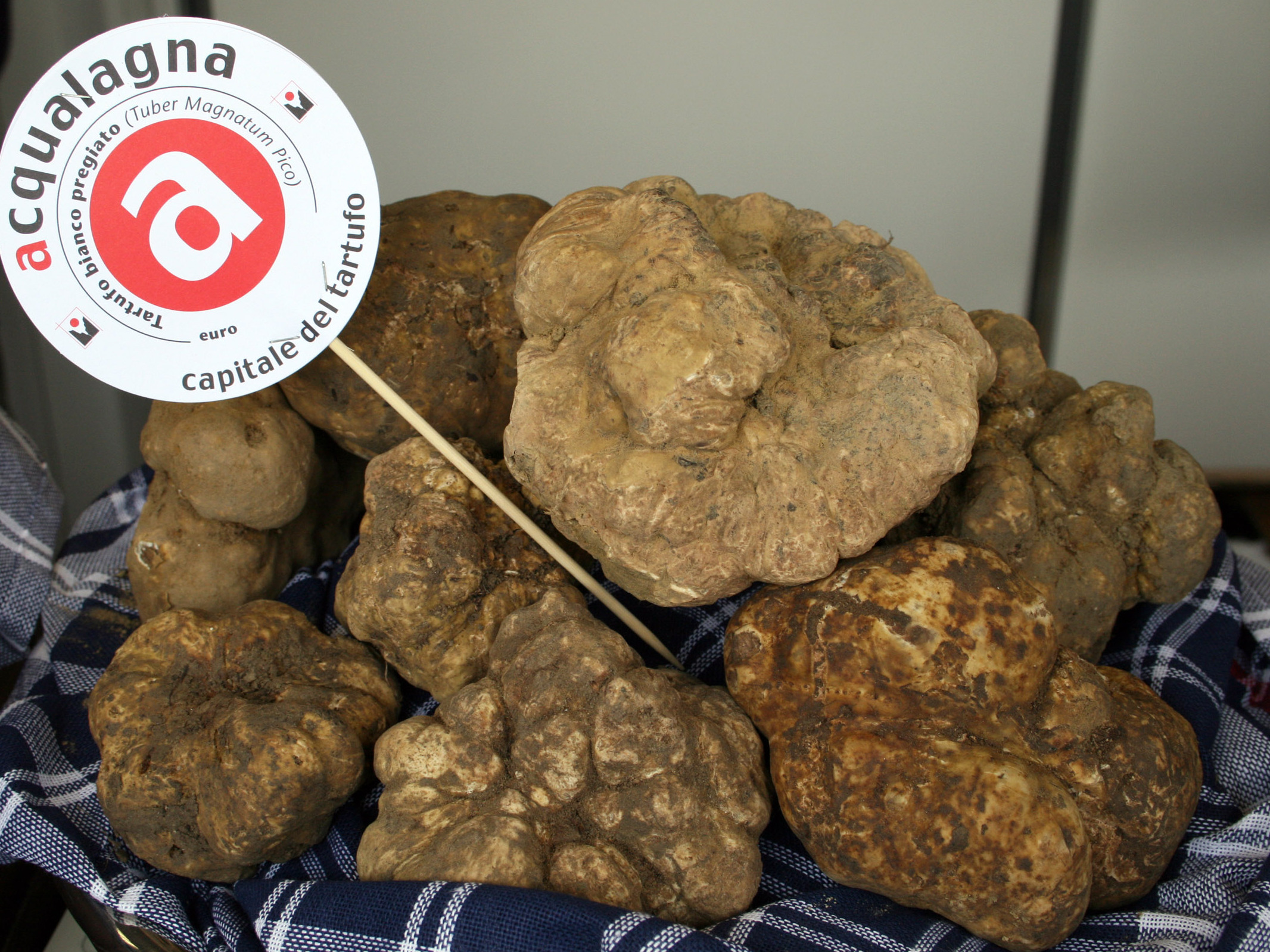 Trüffel-Museum von Acqualagna - Acqualagna | Secret World Trip Planner