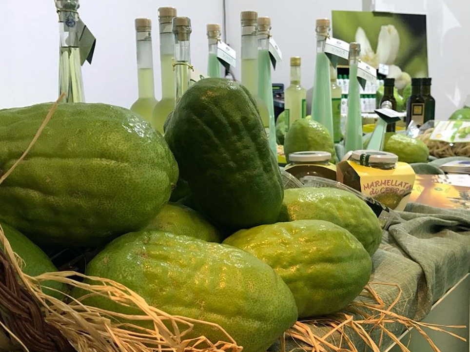 Muzej Cedar - Santa Maria del Cedro | Secret World Trip Planner