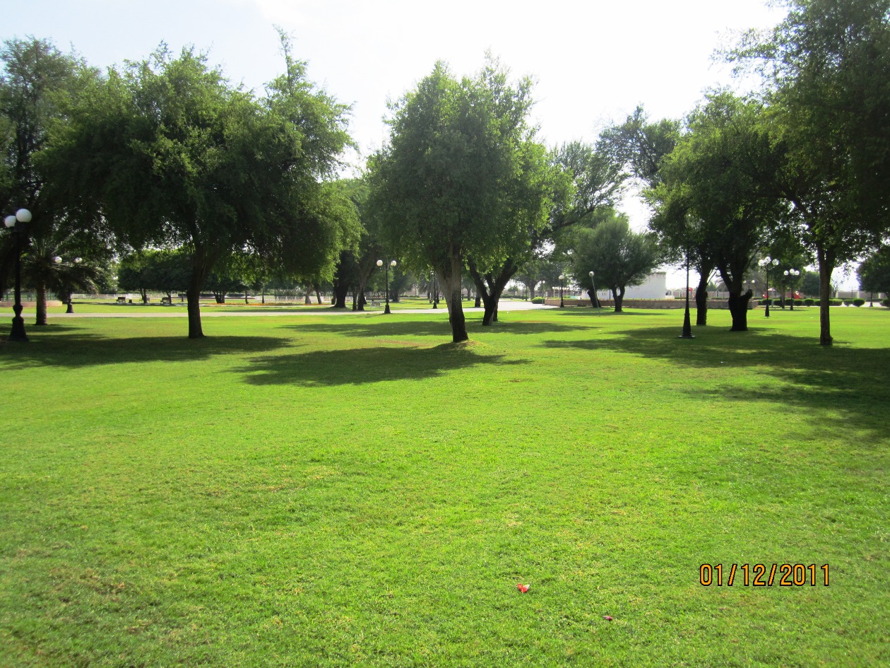 希利考古遗址-联合国教科文组织遗产 - Al Ain | Secret World Trip Planner