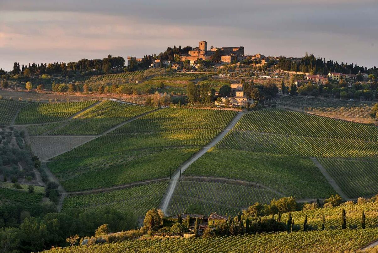 ನಡುವೆ ಮೋಡಿಮಾಡುವ ಟಸ್ಕನ್ ಹಿಲ್ಸ್: Panzano ಬಗೆಯ ಸಪ್ಪೆಯಾದ ವೈನು ರಲ್ಲಿ - Panzano In Chianti | Secret World Trip Planner