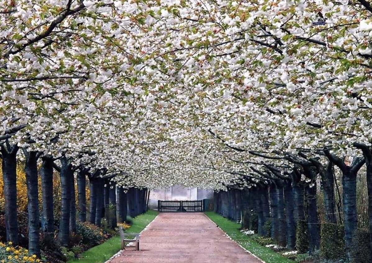 Valloires修道院 魔法花园 秘密世界 Secret World