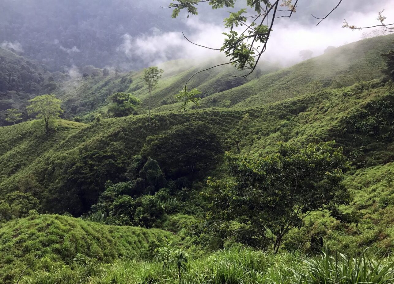 Colima Selvas Colombia | En lo profundo de la selva La Ciudad Perdida - Secret World