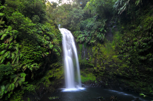 Naturschutzgebiet Lokobe - Ampasipohy | Secret World Trip Planner