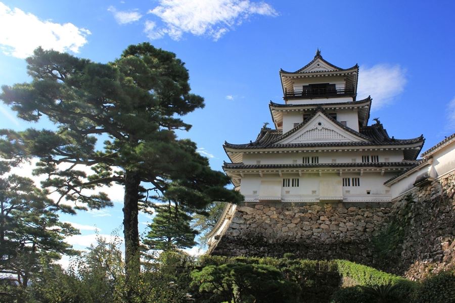 Secret castle. Старые японские замки. Черепица замков Японии. Kochi Castle. Замок Коти.