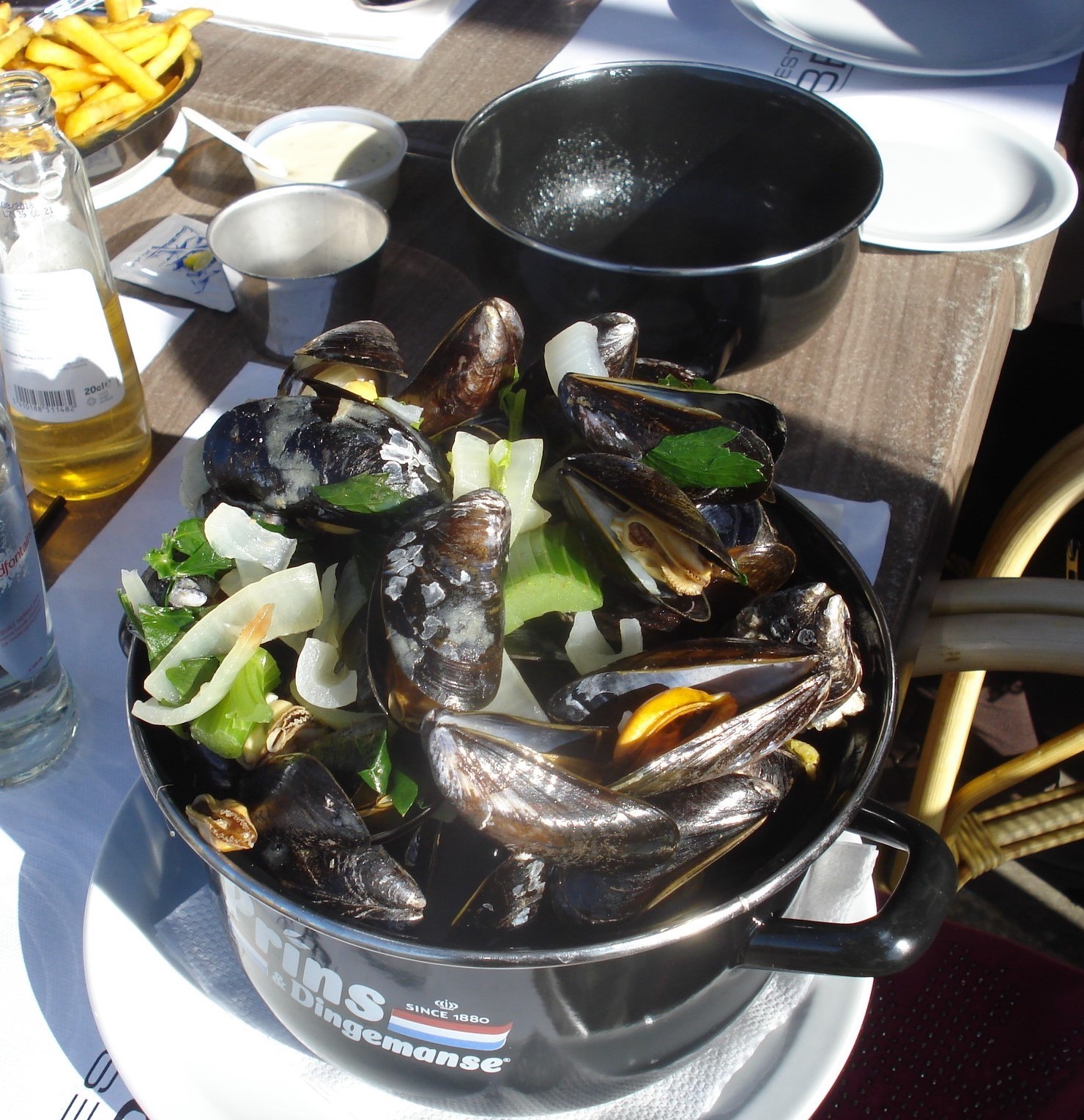 Miševi se plaše. | Secret World Trip Planner