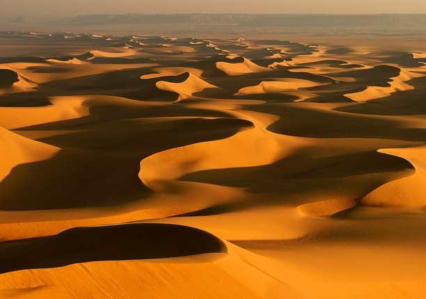 Katta sexy eshaklar rasmlar