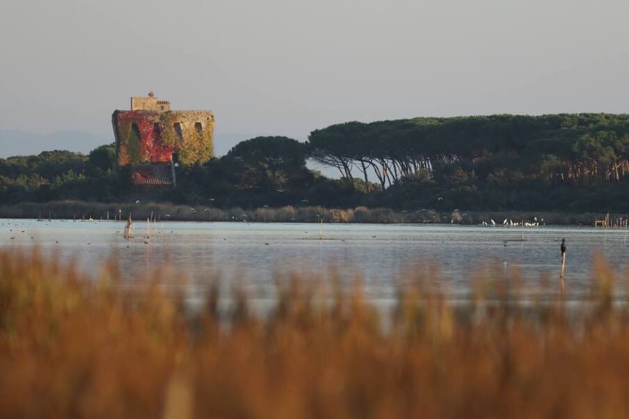 La réserve du lac Burano - 58011 Capalbio GR | Secret World Trip Planner