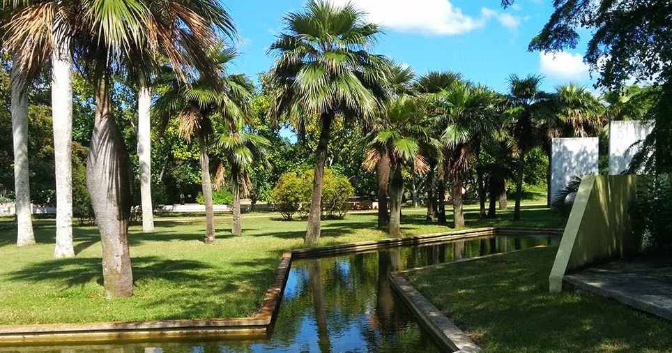 Jardín Botánico Nacional - La Habana | Secret World Trip Planner