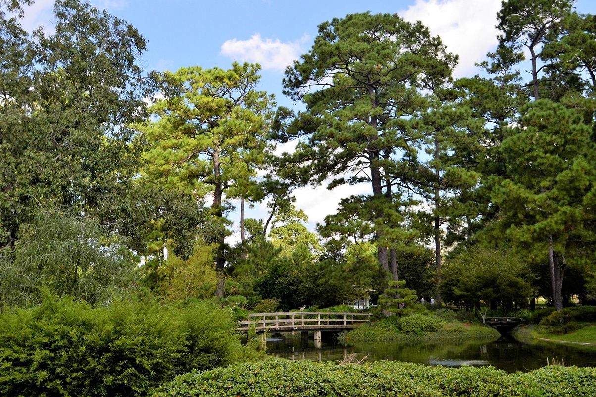 Jardín Botánico Nacional - La Habana | Secret World Trip Planner