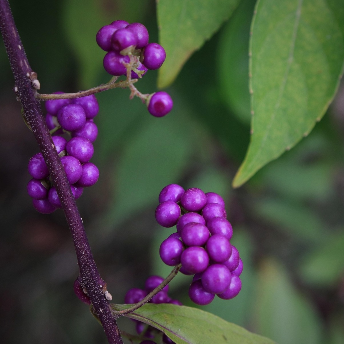 Jardín Botánico Nacional - La Habana | Secret World Trip Planner