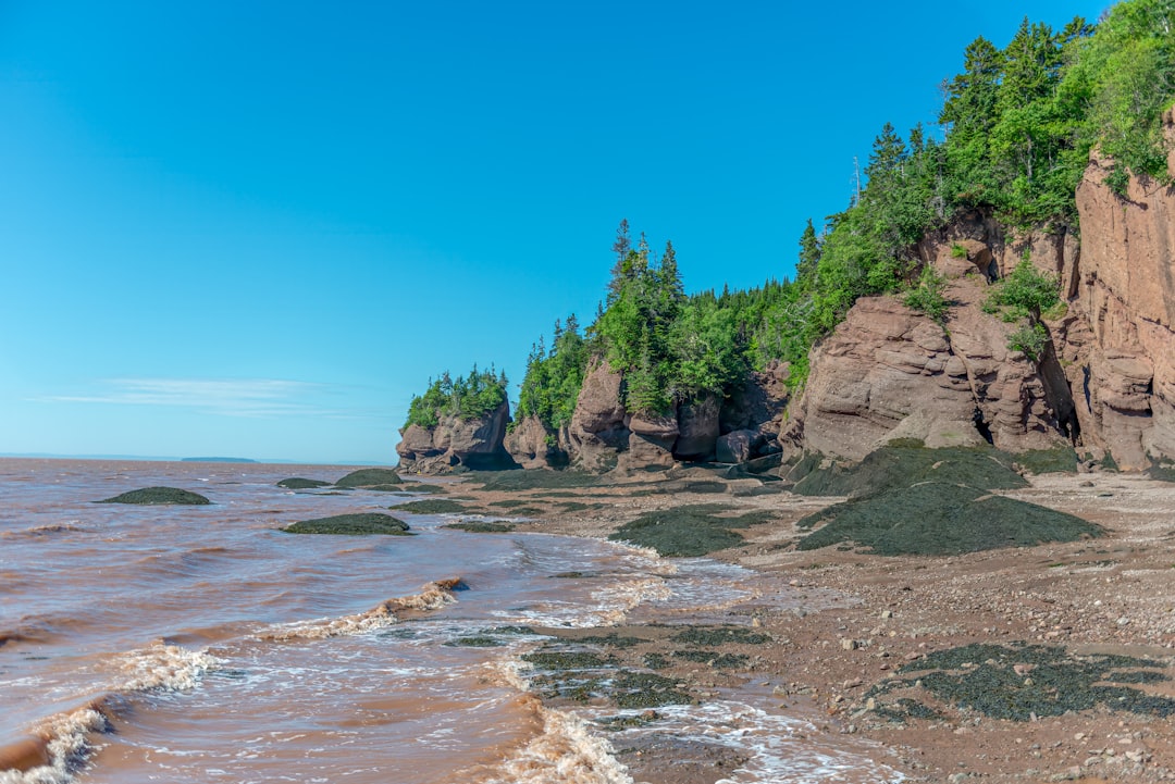 Menakjubkan Teluk Fundy | Secret World Trip Planner
