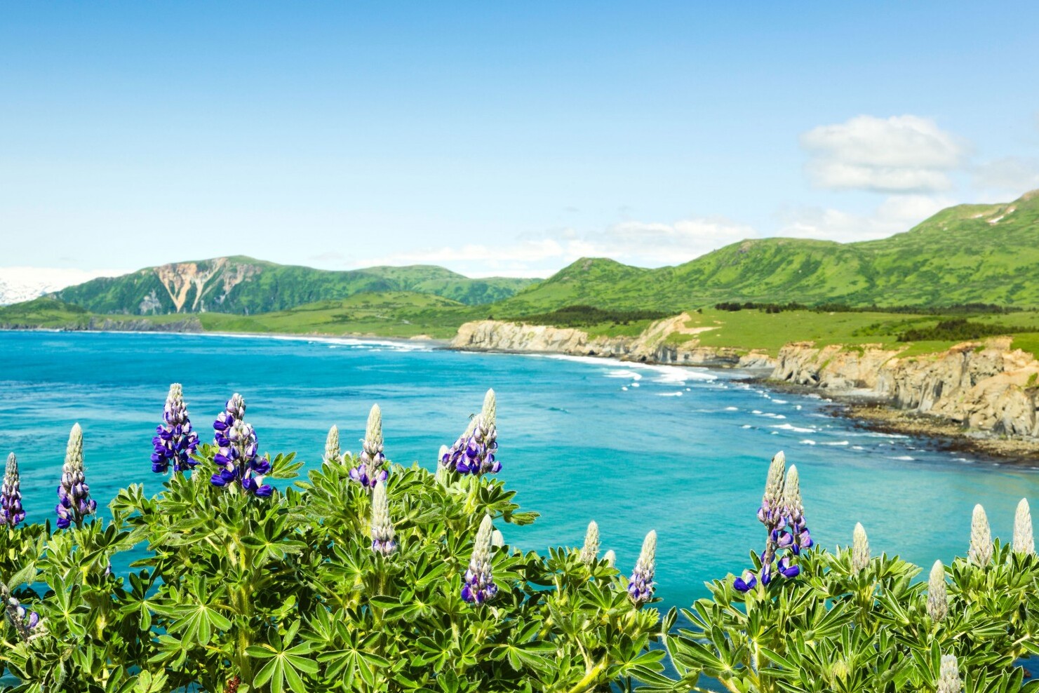 コディアックは アラスカの険しい 美しい島です Secret World