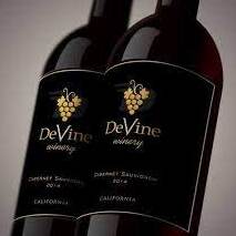 הכרות הראשונה של יין לבן סלובקי. - Devín | Secret World Trip Planner