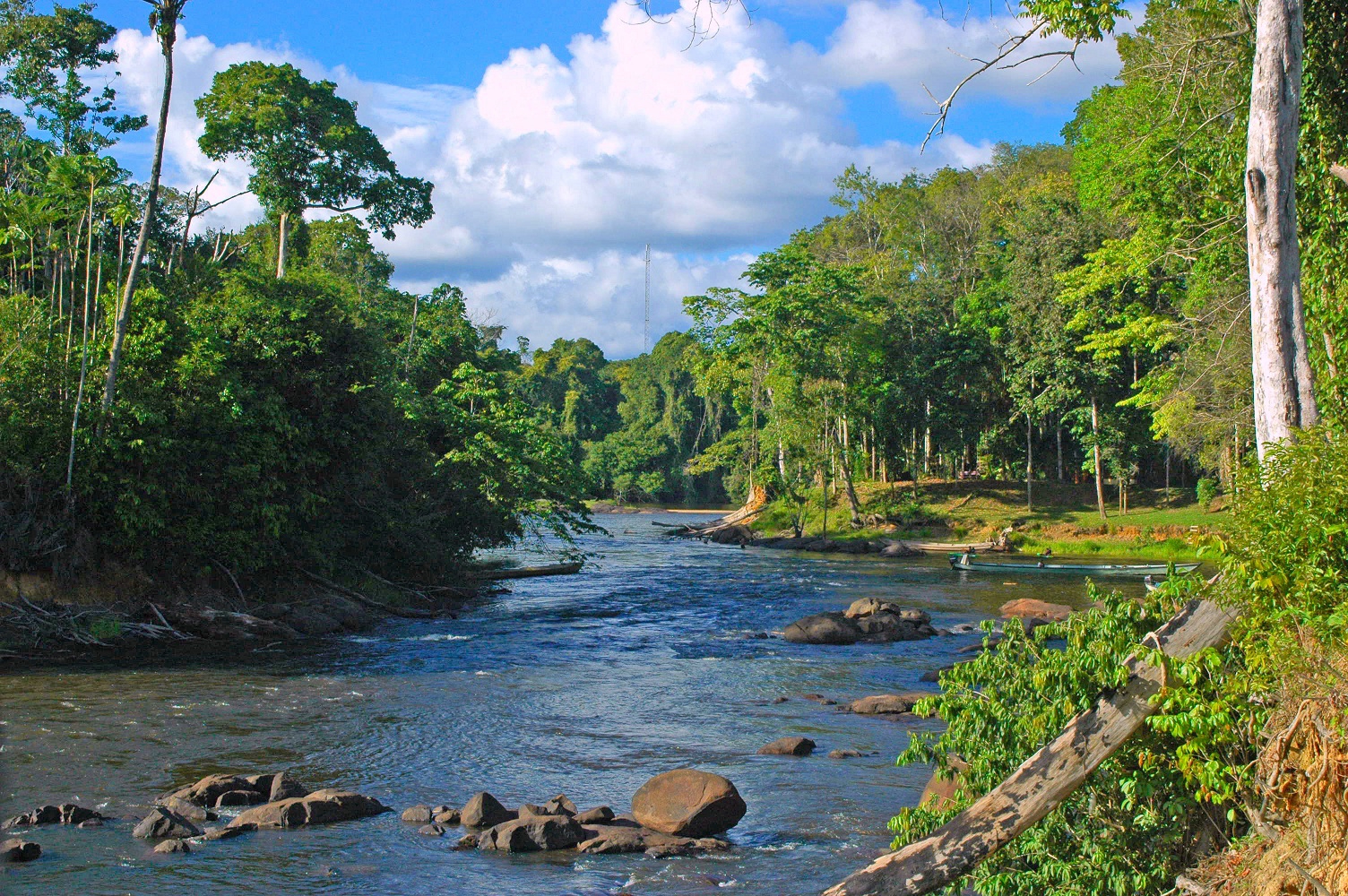 Súrínam