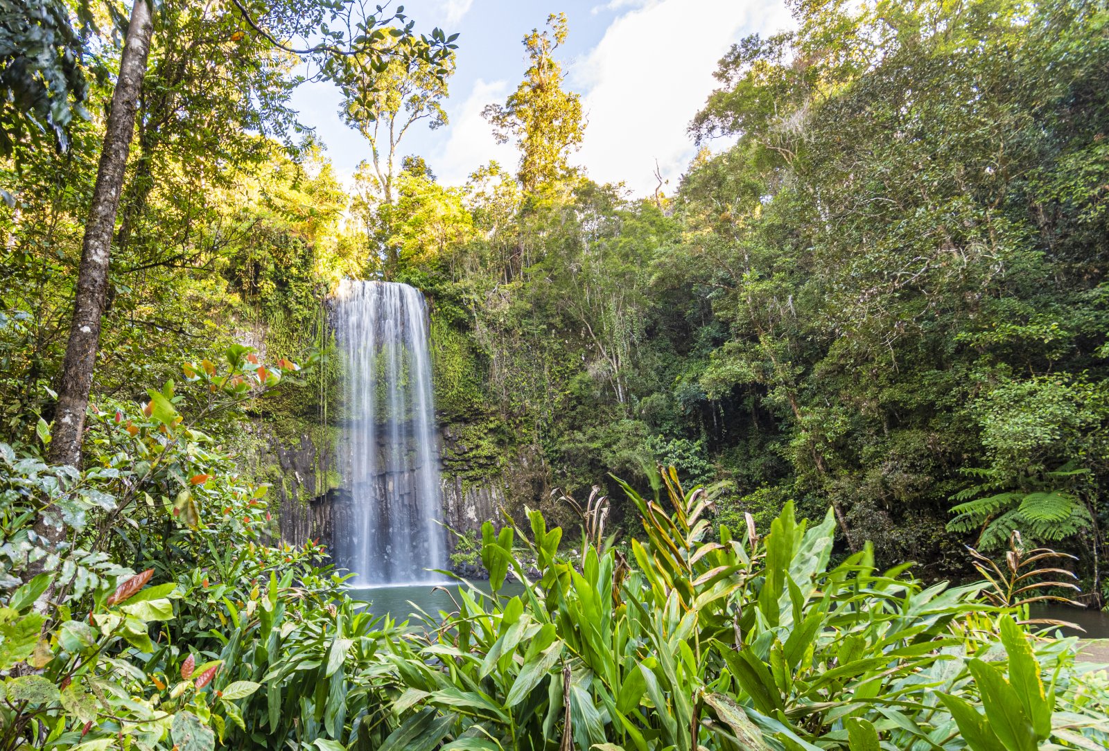 澳大利亚/Millaa Millaa瀑布,一个奇迹fo眼睛 - Millaa Millaa | Secret World Trip Planner