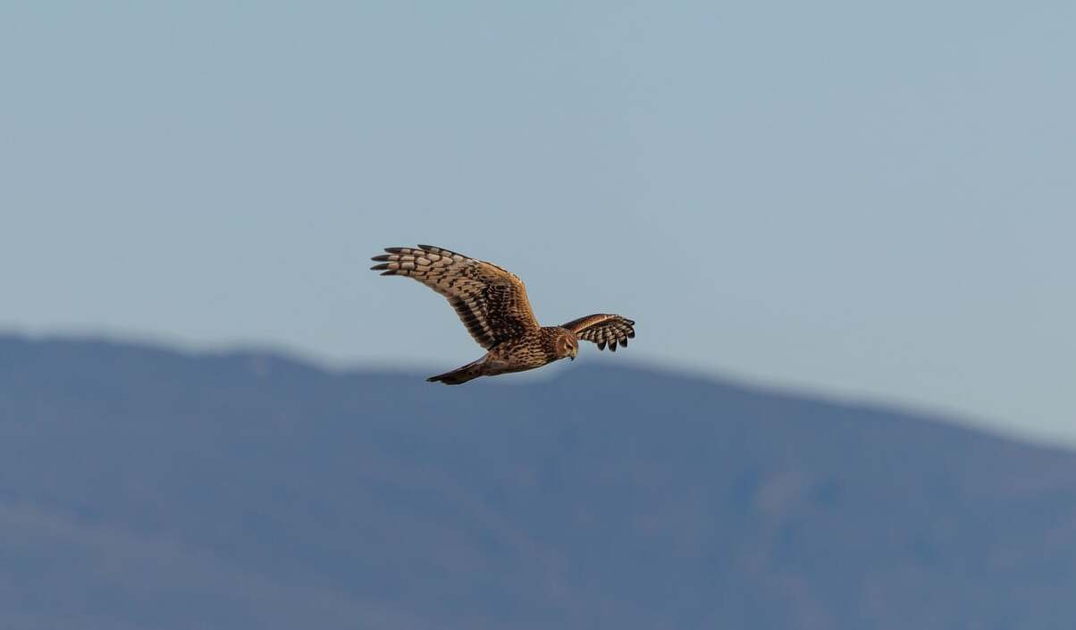 Trail Oasi Valle della Caccia-Grotta Profunnata - Senerchia | Secret World Trip Planner