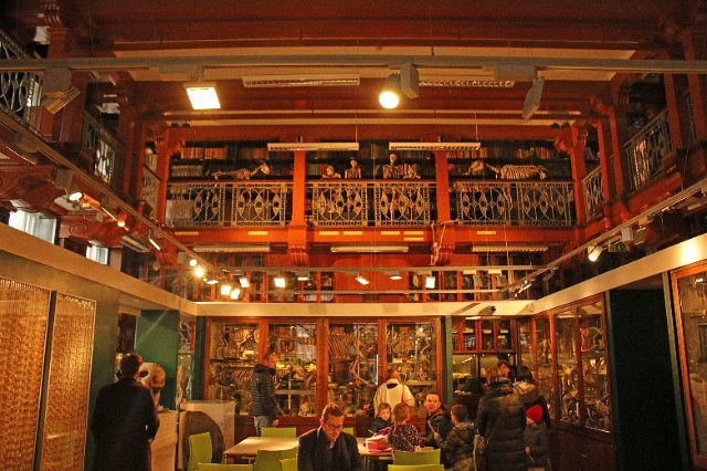 Muzium Zoologi Grant - 21 University St | Secret World Trip Planner