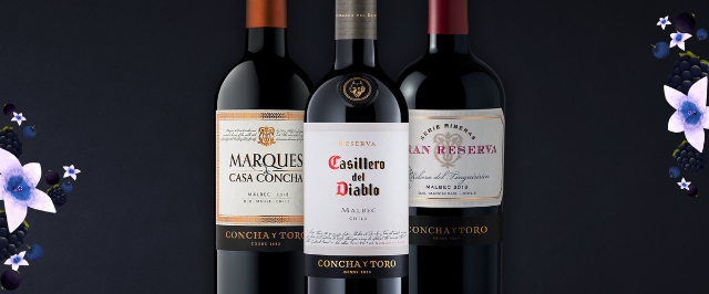 Wines of the Azapa Valley - Arica | Secret World Trip Planner