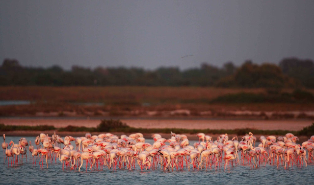 chundikulami rahvuspark - Pachchilapalli | Secret World Trip Planner