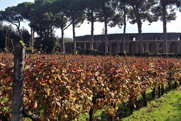 Wineries Mastroberardino