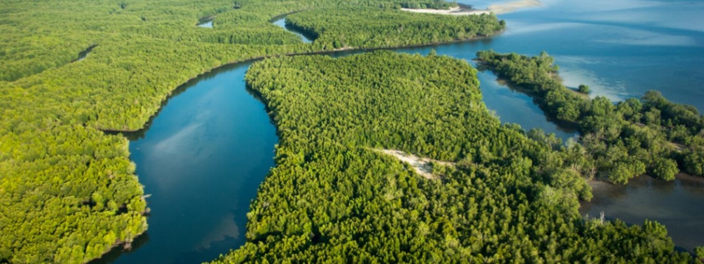 Godrej And The Largest Mangrove Belt In Mumbai Secret World Godrej group, is an indian conglomerate company headquartered in mumbai, maharashtra, india, managed and largely owned by the godrej family.