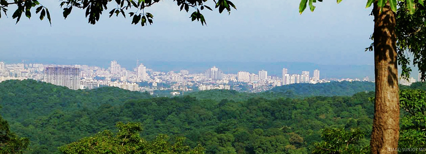 ಸಂಜಯ್ ಗಾಂಧಿ ನ್ಯಾಷನಲ್ ಪಾರ್ಕ್ - Mumbai | Secret World Trip Planner