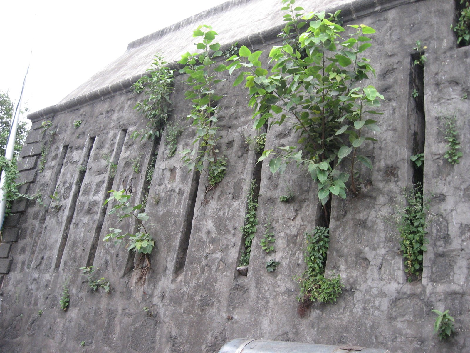 孟买：圣乔治医院的秘密隧道 - Mumbai | Secret World Trip Planner