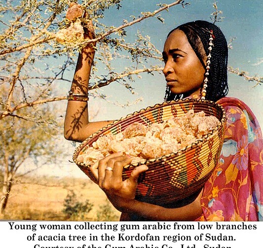 Il Sudan e la Gomma Arabica - Kordofan Meridionale | Secret World Trip Planner