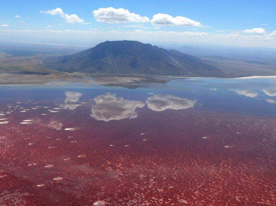 Jezero Natron v Tanzanii | Secret World Trip Planner