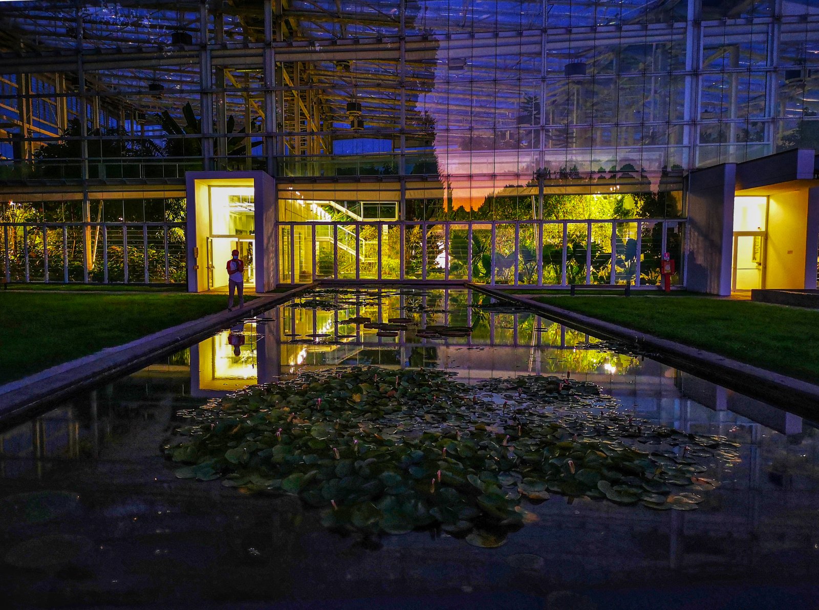 Xardín botánico de Padua-Unesco do Patrimonio - Padova | Secret World Trip Planner