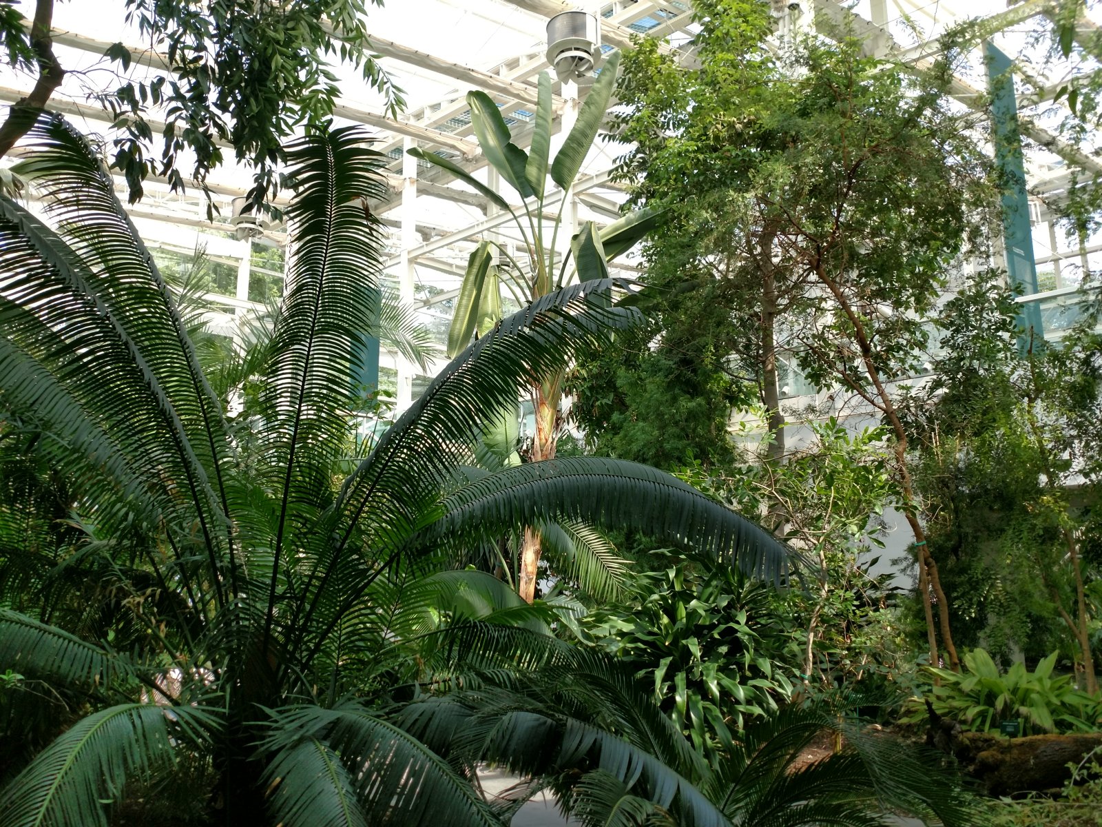 Xardín botánico de Padua-Unesco do Patrimonio - Padova | Secret World Trip Planner