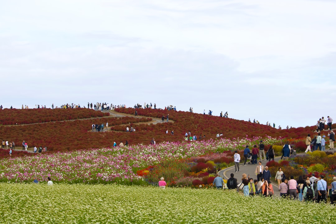 Công Viên Hitachi - Hitachinaka | Secret World Trip Planner