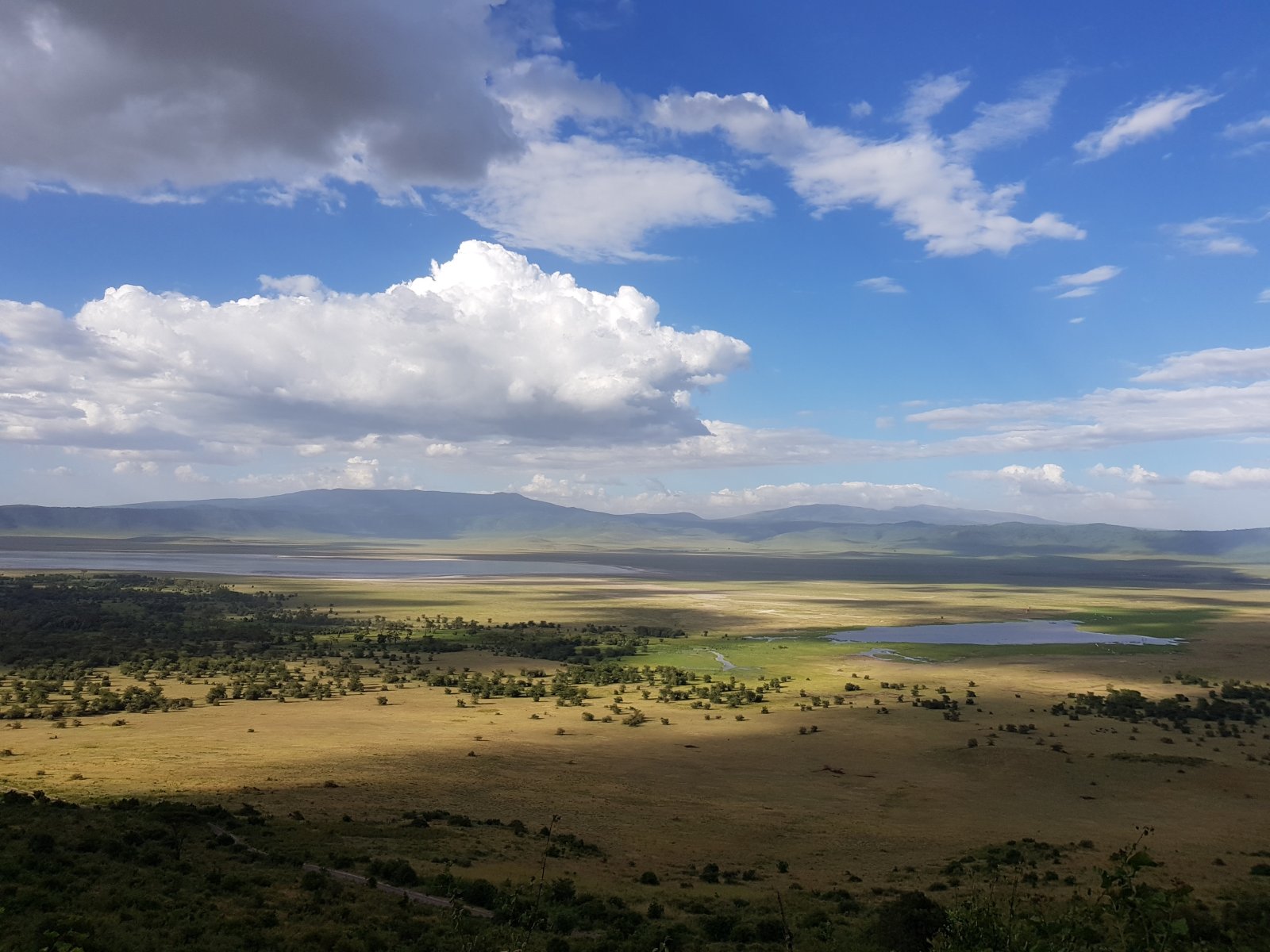 恩戈罗恩戈罗火山口，世界上最大的火山口 - Ngorongoro Crater | Secret World Trip Planner