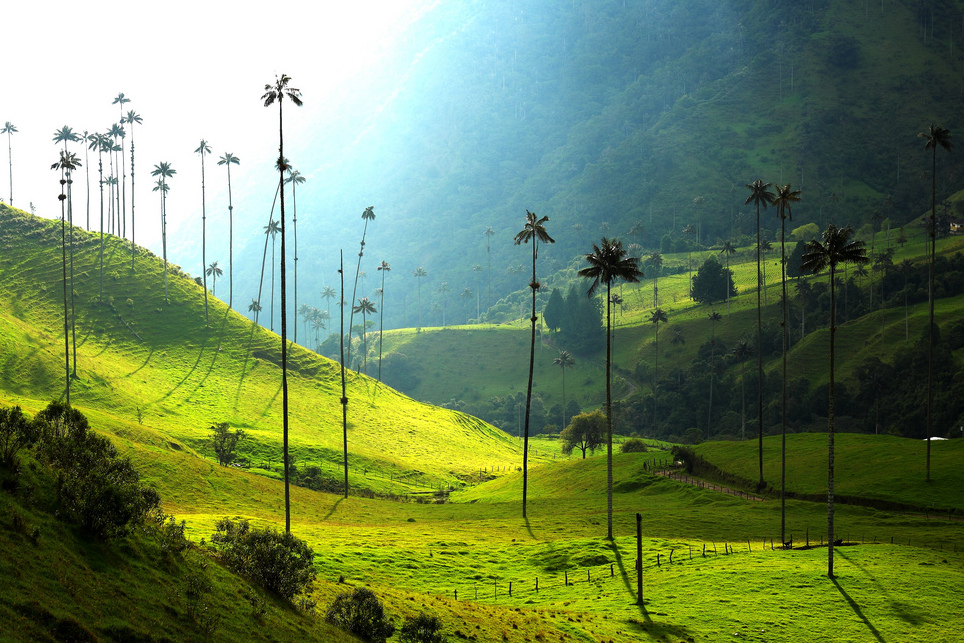 Honduras. kgm เดอ Cocora อยู่ในโคลัมเบีย - Salento | Secret World Trip Planner